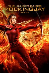 The Hunger Games: Mockingjay 2 (2015)