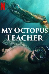 Download Film My Octopus Teacher (2020) Subtitle Indonesia