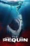 The Requin (2022)