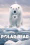 Polar Bear (2022)