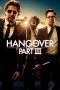 The Hangover Part 3 (2013)