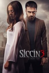 Siccin 3 (2016)